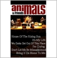 Animals & Friends